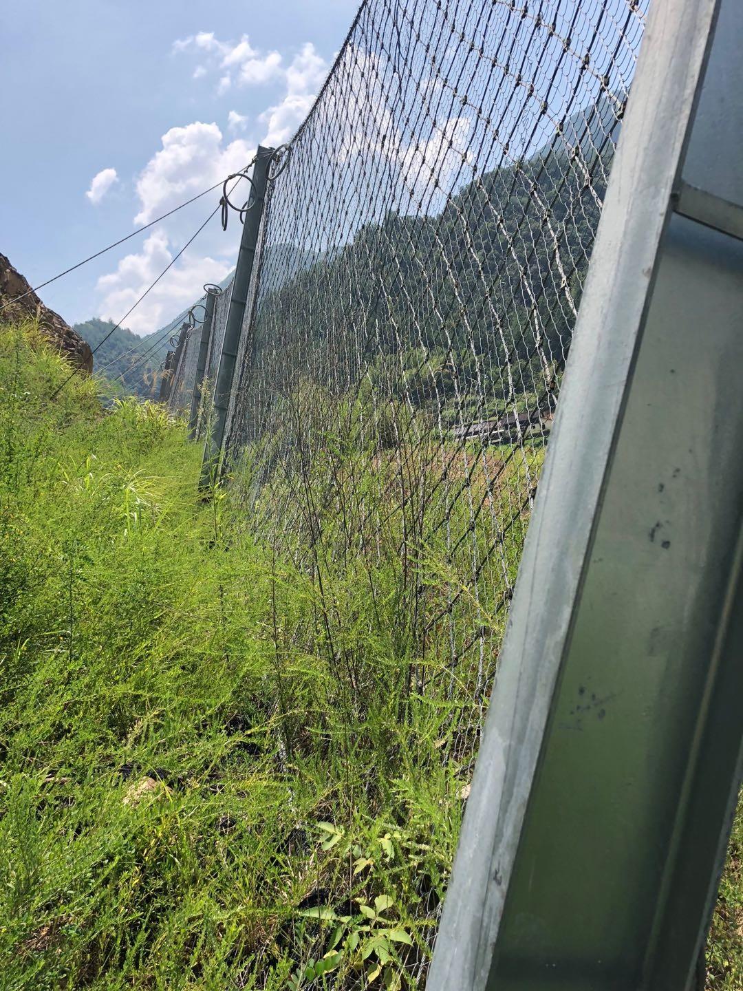 被動(dòng)防護(hù)網(wǎng)實(shí)景網(wǎng)