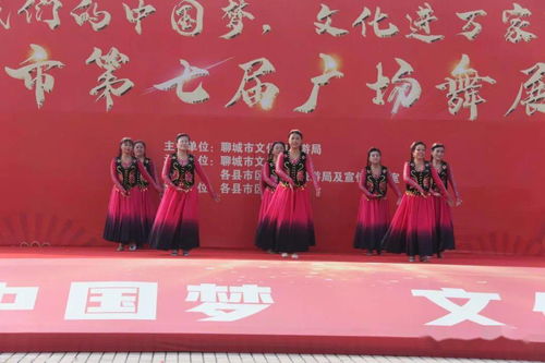 舞動(dòng)水城，綻放芳華——聊城市第七屆廣場(chǎng)舞展演活動(dòng)圓滿落幕