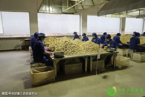 隴西縣實(shí)現(xiàn)道地中藥材生產(chǎn)全程可追溯，助力醫(yī)藥教學(xué)器材升級